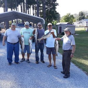 Meet your Posher, Michael